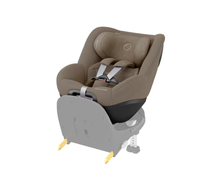 Pearl 360 Pro - Authentic Truffle
