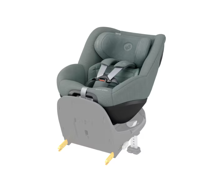 Pearl 360 Pro - Authentic Grey