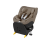 Mica 360 Pro - Authentic Truffle