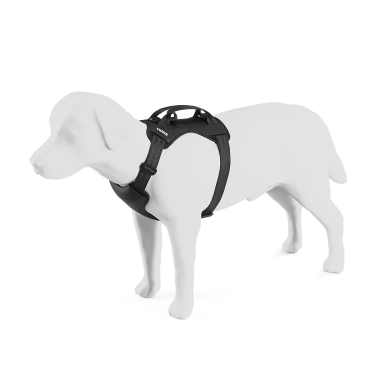 Thule Cappy S