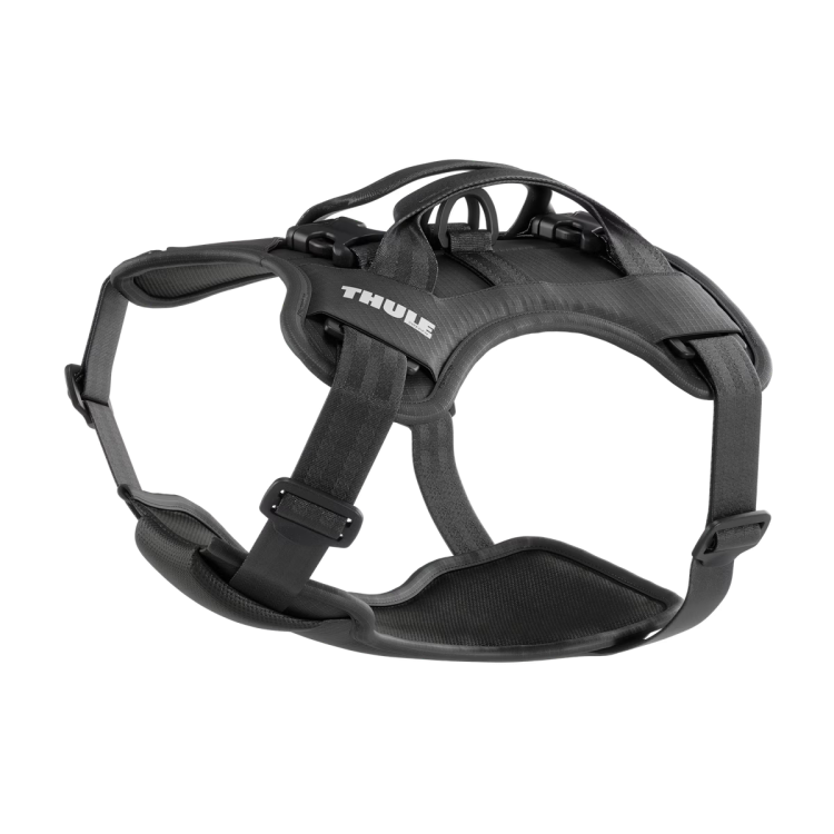 Thule Cappy S
