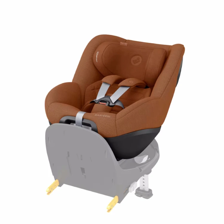 Pearl 360 Pro - Authentic Terra