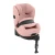 Anoris T2 - Peach Pink Plus