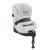 Anoris T2 - Platinum White Plus