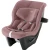 MAX-SAFE PRO - Dusty Rose CLASSIC