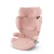 Solution T - Peach Pink Plus