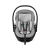 Thule Maple - Light Grey
