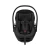 Thule Maple - Black