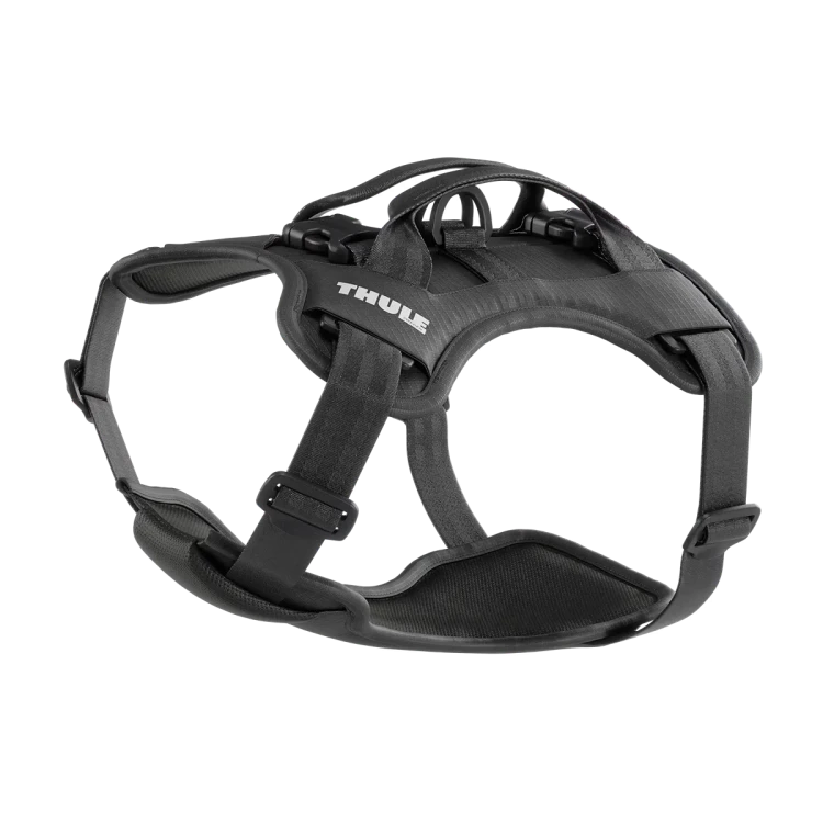 Thule Cappy S