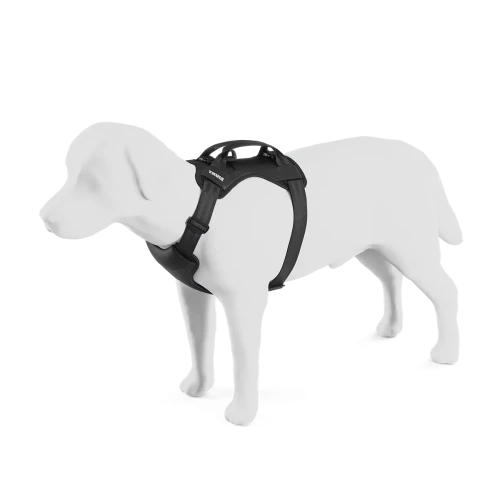 Thule Cappy L
