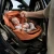 Maxi-Cosi Coral Slide Pro
