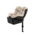 Sirona Gi - Almond Beige Plus